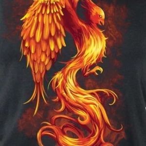 Meet your Posher, Kathie